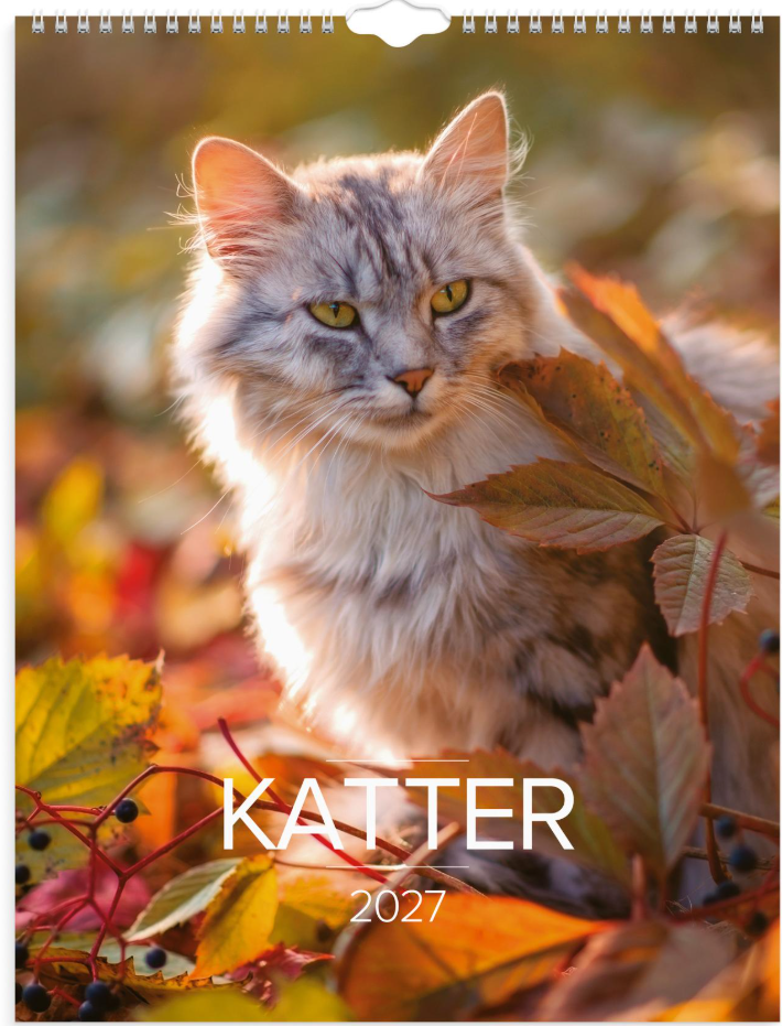 Väggkalender Burde 1775 Katter 2027