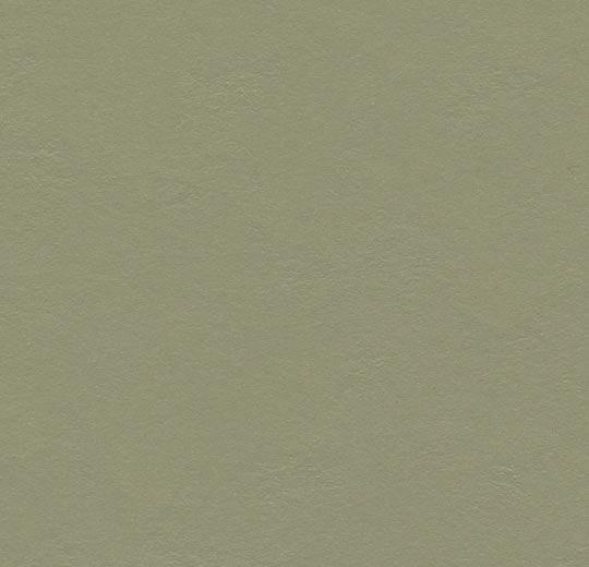 Linoleumgolv Forbo Marmoleum Click 333355 Rosemary Green 30x30cm