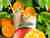 Shake Slanka Apelsin Mango VLCD 6st bild 2