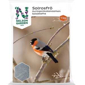 Solrosfrö Nelson Garden 1kg