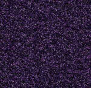 Entregolv Forbo Coral Brush 5709 Royal Purple