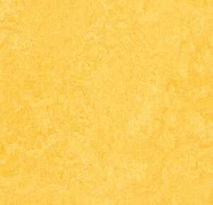 Linoleumgolv Forbo Marmoleum Click 333251 Lemon Zest 30x30cm