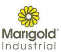 Marigold