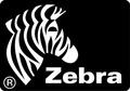 Zebra Zebra