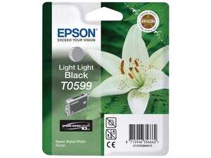 Bläckpatroner Epson C13T05994010 Ljussvart