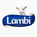 Lambi Lambi