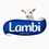 Lambi